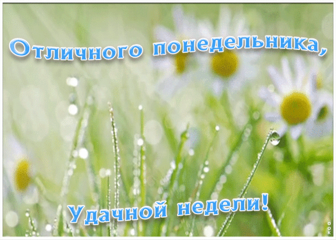 Пожелание отличного понедельника и удачной недели