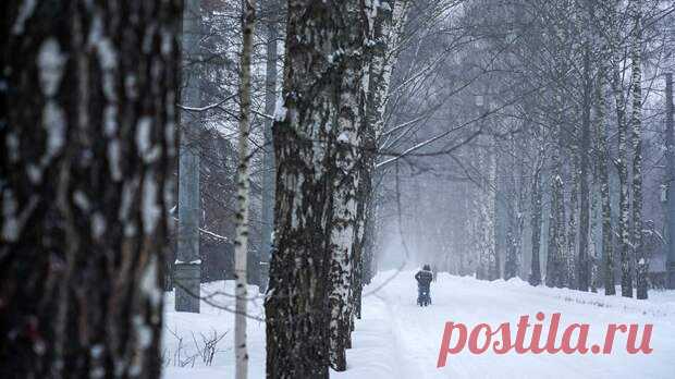 (99+) В некоторые регионы России придет аномальное похолодание - НОВОСТИ,СОБЫТИЯ,ЛЮДИ,ФАКТЫ
                                             - 14 ноября
                                             - 43009377341 - Медиаплатформа МирТесен На Урал придет аномальное похолодание с морозами до 18−20 градусов с понедельника, сообщил ТАСС научный руководитель Гидрометцентра России Роман Вильфанд. «Если еще 14 ноября там умеренные морозы, то с понедельника ночные температуры будут в д...