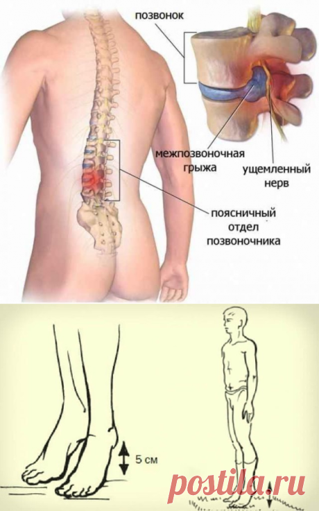 (1) Одноклассники