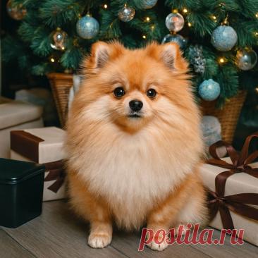 Утка под елкой - OGADANIE.RU