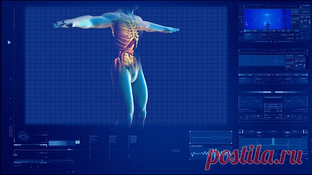 Как 3D печать изготавливает лекарства и оборудование, кожу и протезы, лечит рак, а также учит врачей 
Технология 3D-печати появилась еще в 80-е годы прошлого столетия, а вот коммерческое распространение 3D-принтеры получили только в 2010 году. За несколько лет 3D-печатные технологии нашли широкое при…