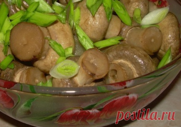 Супер вкусно! Вкуснейшие, сочные грибочки!!!!!!! Готовятся они 15 минут! А съедаются еще быстрее!

Состав:
1. 1 кг. шампиньонов (желательно самых маленьких)
2. 1 ст.л. соли
Показать полностью…