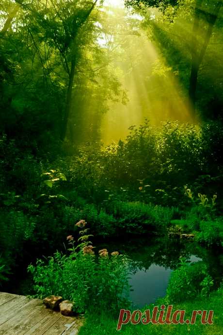 coiour-my-world:
““You light up my life” ”