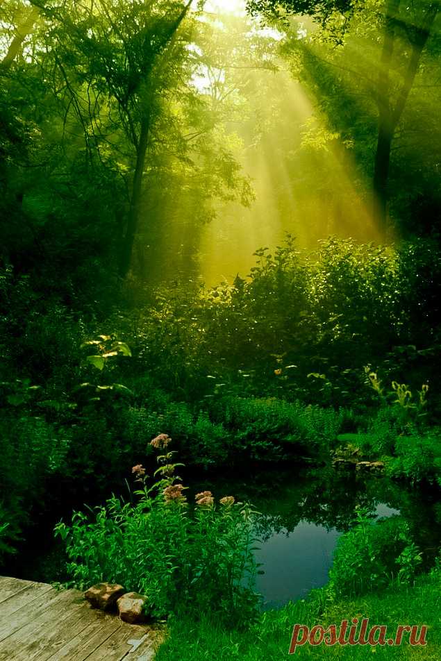 coiour-my-world:
““You light up my life” ”