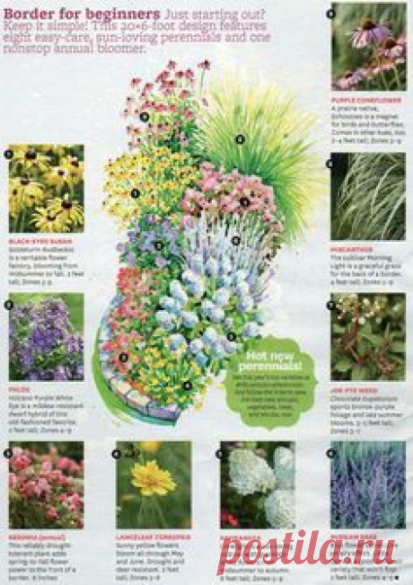 Flower garden plans, Garden, Front yard garden, Sun garden, Landscaping plants, Perennial garden - Flower Border (Better Homes and Gardens, March 2014) -  #Flowergarden #plans