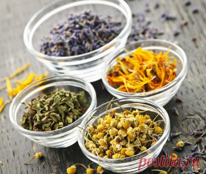 Рецепт тибетских монахов: омоложение организма травами