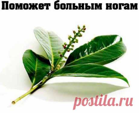 (10) Одноклассники