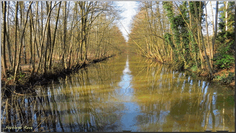 Фото Тишина(фото С.Рева в моей обработке), Анимация, Анатолий Алферов — Фото@Mail.Ru