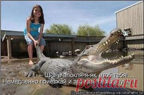 интересные фразы