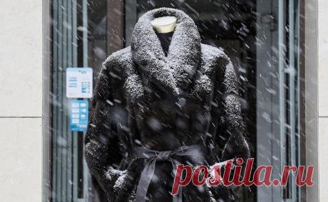 Власти Саратова опровергли запрет на шубы для чиновников. Чиновникам Саратовской области не запрещали появляться в шубах на встречах с жителями, сообщили РБК в пресс-службе губернатора региона Романа Бусаргина.