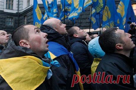 Украиной правят безумцы!