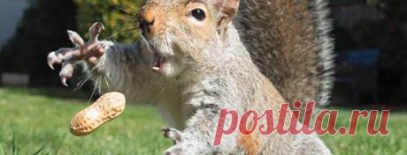 22 фантастических снимка, сделанных в нужный момент