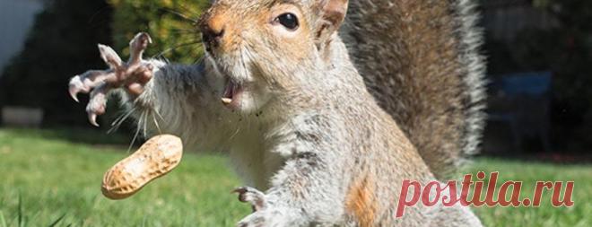 22 фантастических снимка, сделанных в нужный момент