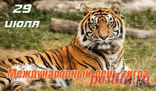 Открытка 29 июля Международный день тигра