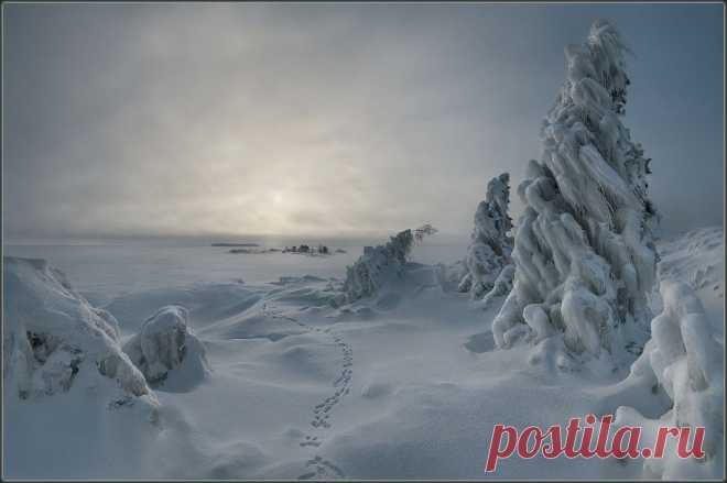 photo: Дыхание Ладоги | photographer: Николай Капранов | WWW.PHOTODOM.COM