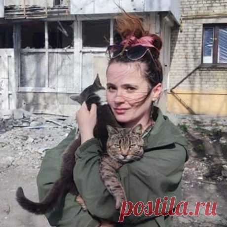 ПРО ДОНЕЦК, БАБУШЕК И КОТОВ