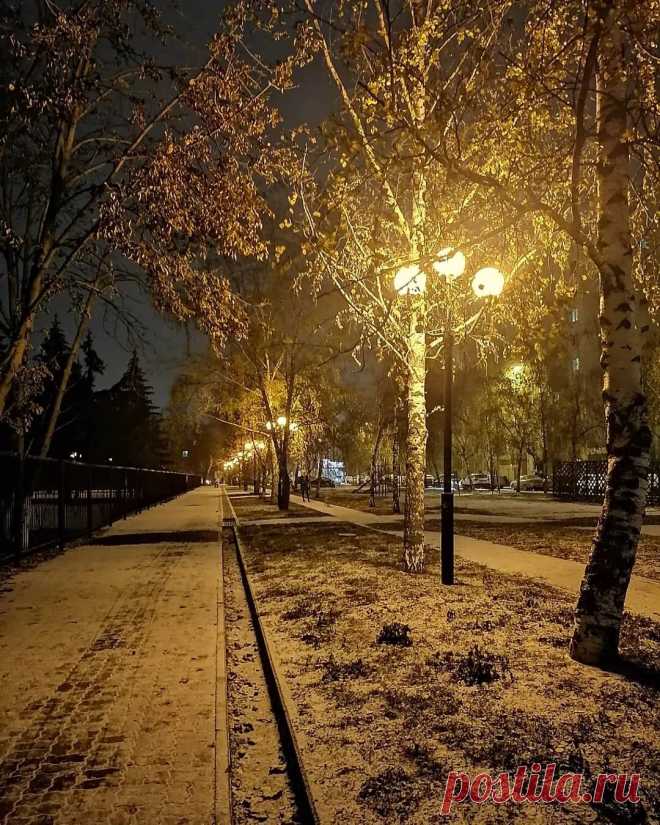 Яндекс Картинки: поиск похожих изображений