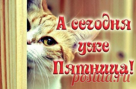 (2459) Pinterest