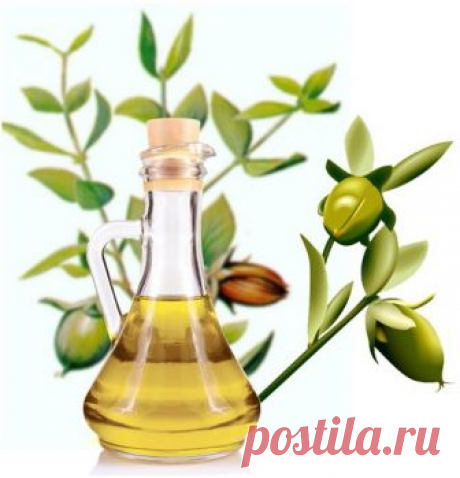 Масло жожоба - полезные свойства и применение для лица и волос