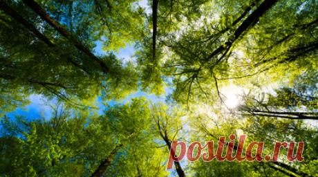 В Краснодарском крае благоустроили 1,5 тысячи зелёных зон за восемь лет. Губернатор Краснодарского края Вениамин Кондратьев рассказал, что за последние восемь лет в регионе благоустроили 1,5 тыс. зелёных зон. Читать далее