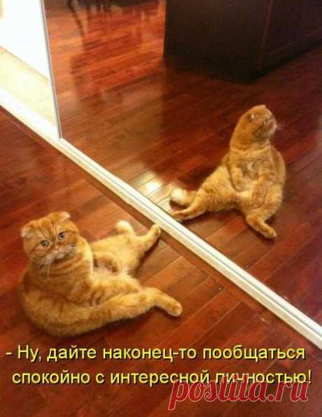 КалендарьПразднования 
ЕжемесячногоДняКотов 
1 января – День Новогоднего Кота; 
1 февраля – День Свободного Кота; 
1 марта – День Мартовского Кота; 
Показать полностью…