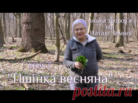 Школа здоров'я від Наталі Земної. Урок 3