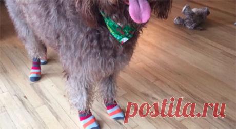 Эти фишки очень пригодятся вам этим летом. Действительно полезные советы