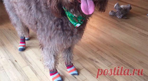 Эти фишки очень пригодятся вам этим летом. Действительно полезные советы