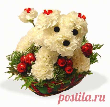 Земля смеется цветами.