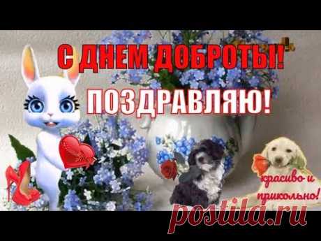 Прикольное поздравление с Днем доброты. Видео * МУЗыкальный подарОК