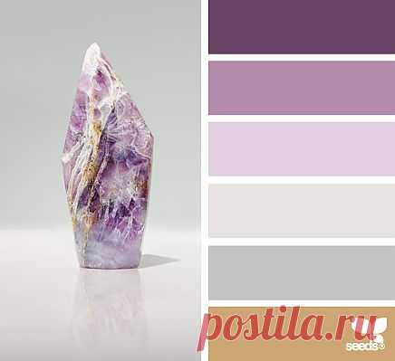 Design Seeds® | find your palette