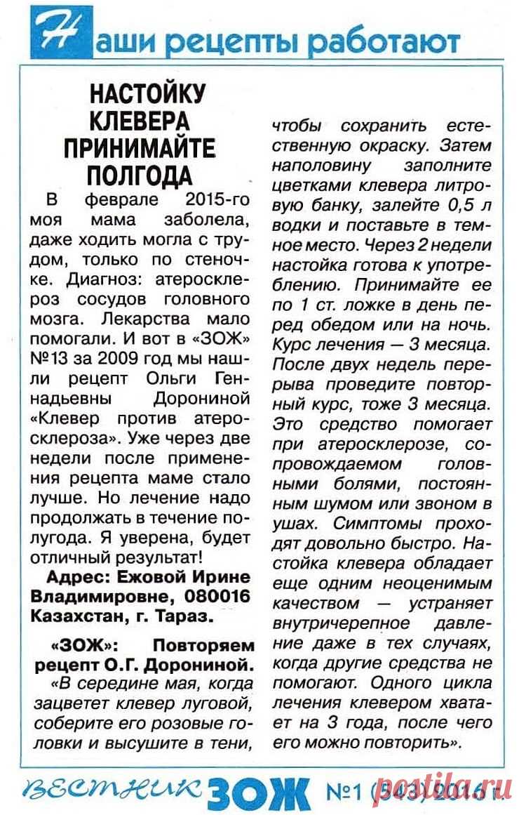 Настойку клевера принимайте полгода