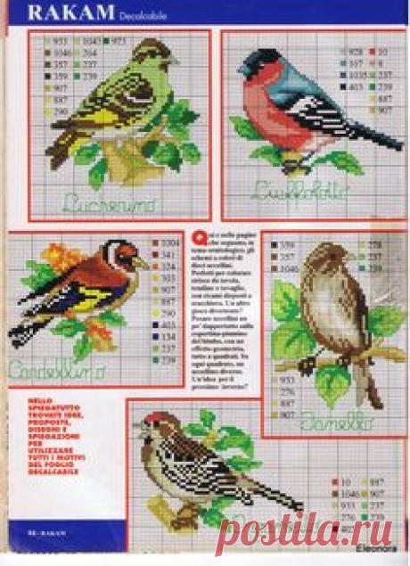 Cross stitch patterns в Pinterest