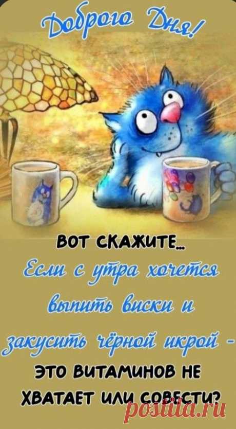 790d677d.jpg (481×872)