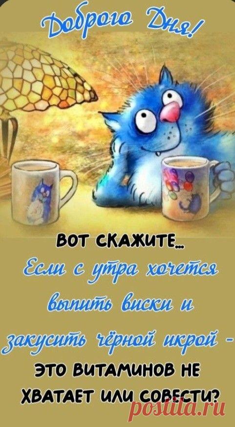 790d677d.jpg (481×872)