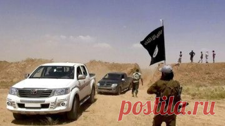 Боевики «Талибана» заявили, что полностью поддерживают ИГ — Рамблер-Новости