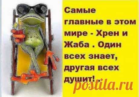 Объявление в газете: «Ищу мужчину красивого, богатого, без проблем...» 
- Маша! Ты первый раз у нас на форуме. Скажи, а сиськи у тебя есть?- Да, есть!- А больше чем у Семенович?- Тебе три надо что-ли?

Объявление в газете: «»Ищу мужчину красивого, богатого, без проблем с…