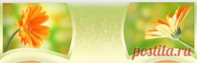 Сирень / МНОГОЛЕТНИКИ / ВЫРАЩИВАНИЕ СРЕЗОЧНЫХ ЦВЕТОВ / Цветы на даче / цветы-на-даче