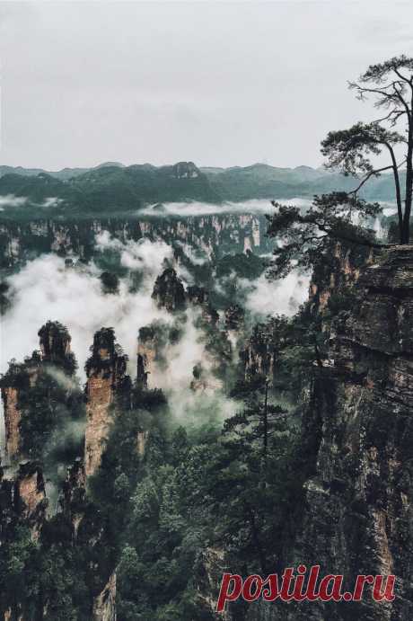(5) Tumblr