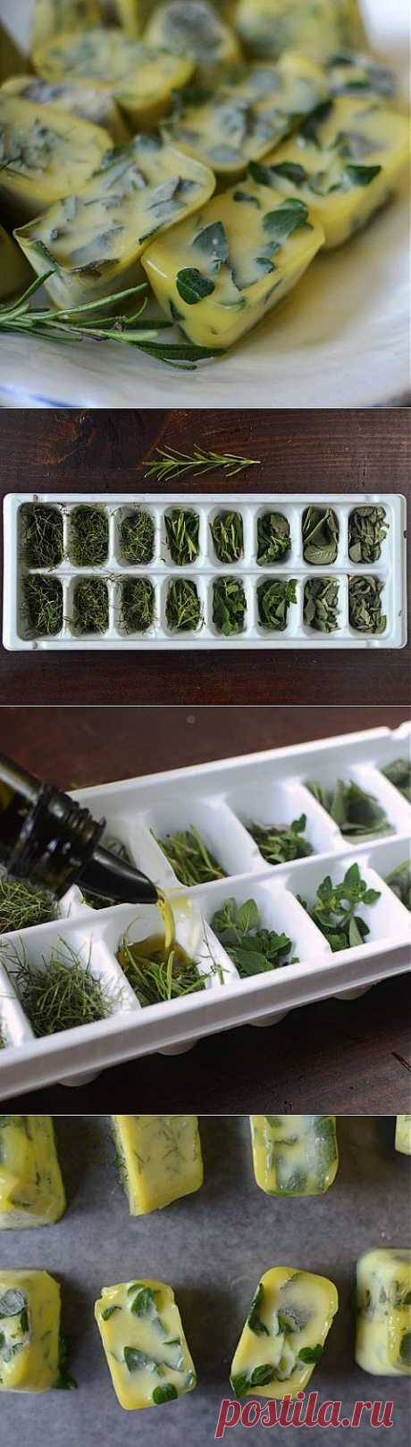 Заготовка свежей зелени | Делаем сами