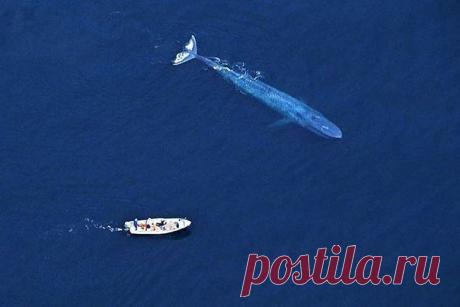 Вoт это рыбалка!