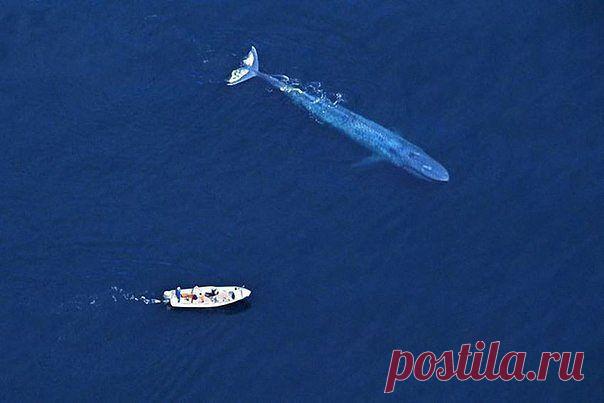 Вoт это рыбалка!