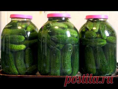 ЛУЧШЕ И ПРОЩЕ РЕЦЕПТА НЕ НАЙТИ, ПОВТОРЯЮ КАЖДЫЙ ГОД! ОГУРЦЫ КАК БОЧКОВЫЕ НА ЗИМУ, ХОЛОДНЫЙ СПОСОБ.