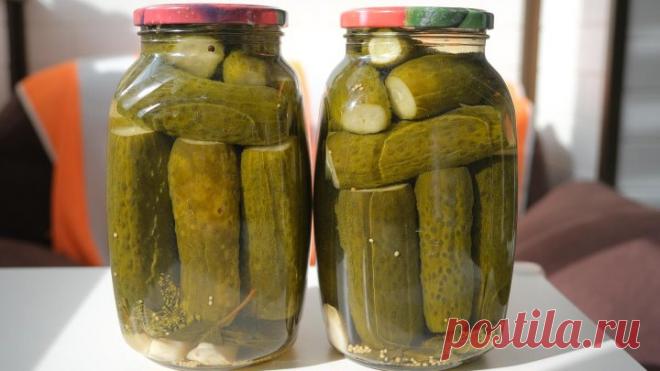 Советские маринованные огурчики с горчицей - вкус из прошлого