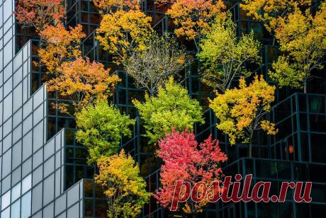 Оформление офисного здания в Нью-Йорке