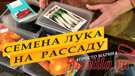 Посев семян лука на рассаду. Посев семян лука на рассаду. Выращивание лука из семян за один сезон. Как посеять семена лука, как замачивать семена. Семена чернушки. Уход за рассадой лука....