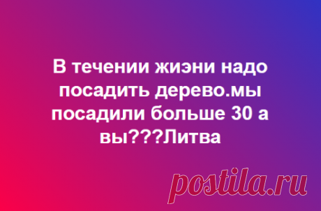 А сколько деревьев за свою жизнь посадили Вы?