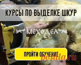 Препараты для выделки меховых шкур. Выделка шкур/ Моё дело