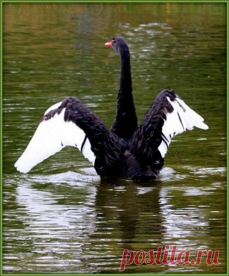 Фотографии $Mavlet$ $ - 821 фото в Моем Мире.