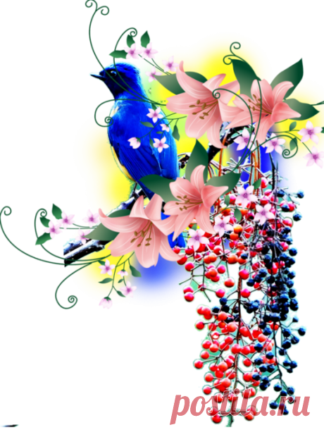Клипарт png, бесплатные фото, обои, изображения